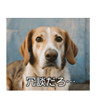 //架空犬映画//（個別スタンプ：2）