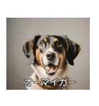 //架空犬映画//（個別スタンプ：3）