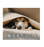 //架空犬映画//（個別スタンプ：9）