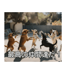 //架空犬映画//（個別スタンプ：10）