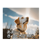 //架空犬映画//（個別スタンプ：18）