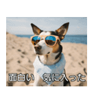 //架空犬映画//（個別スタンプ：21）