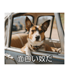 //架空犬映画//（個別スタンプ：22）