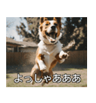 //架空犬映画//（個別スタンプ：23）