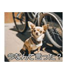 //架空犬映画//（個別スタンプ：25）