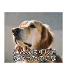 //架空犬映画//（個別スタンプ：28）