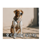 //架空犬映画//（個別スタンプ：33）