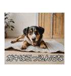 //架空犬映画//（個別スタンプ：36）