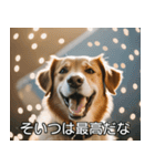 //架空犬映画//（個別スタンプ：39）