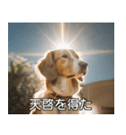 //架空犬映画//（個別スタンプ：40）