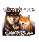 柴犬の日常♡スイーツ三昧（個別スタンプ：20）