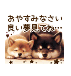 柴犬の日常♡スイーツ三昧（個別スタンプ：30）