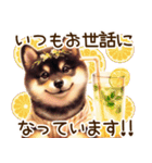 柴犬の日常♡スイーツ三昧（個別スタンプ：31）