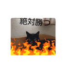 猫は猫である（個別スタンプ：8）