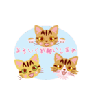 うずまき猫さんず（個別スタンプ：16）