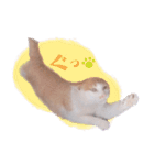 野良猫にゃんにゃんにゃん（個別スタンプ：4）