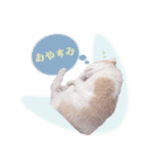 野良猫にゃんにゃんにゃん（個別スタンプ：7）