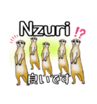 アライグマの友達(スワヒリ語と日本語)（個別スタンプ：15）