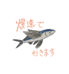 小さなすいぞくかん（個別スタンプ：24）