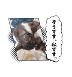 マンガのくーちゃん（個別スタンプ：4）