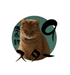 茶とみの数秘術/魅六数秘（個別スタンプ：10）