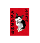 茶とみの数秘術/魅六数秘（個別スタンプ：12）