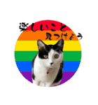 茶とみの数秘術/魅六数秘（個別スタンプ：16）