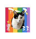 みい子の数秘術/魅六数秘（個別スタンプ：11）