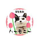 みい子の数秘術/魅六数秘（個別スタンプ：13）