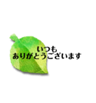 葉っぱに思いを込めて（個別スタンプ：7）