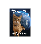 ちゃーくんの数秘術/魅六数秘（個別スタンプ：2）