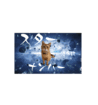 ちゃーくんの数秘術/魅六数秘（個別スタンプ：3）