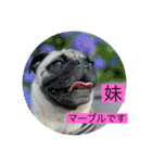オラマー兄妹（個別スタンプ：3）
