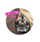 オラマー兄妹（個別スタンプ：4）
