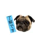 オラマー兄妹（個別スタンプ：8）
