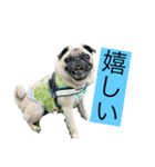 オラマー兄妹（個別スタンプ：9）