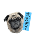 オラマー兄妹（個別スタンプ：15）