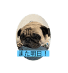 オラマー兄妹（個別スタンプ：17）