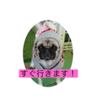 オラマー兄妹（個別スタンプ：20）