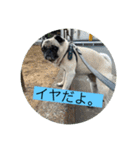 オラマー兄妹（個別スタンプ：24）
