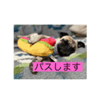 オラマー兄妹（個別スタンプ：26）