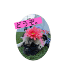 オラマー兄妹（個別スタンプ：31）