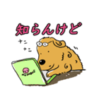 ノートの落書き「ゴールデンR」編！（個別スタンプ：40）