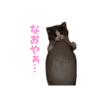 ぽんと過ごすまいにち（個別スタンプ：14）