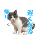 ぽんと過ごすまいにち（個別スタンプ：23）