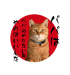 ちゃーくんからパパへ14（個別スタンプ：3）