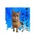 ちゃーくんからパパへ14（個別スタンプ：4）