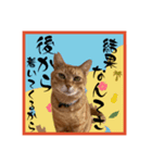 ちゃーくんからパパへ14（個別スタンプ：6）