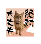 ちゃーくんからパパへ14（個別スタンプ：7）