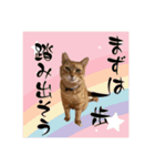 ちゃーくんからパパへ14（個別スタンプ：8）